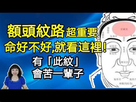 額頭紋 面相|【額頭紋面相】額頭紋路藏玄機！解開你的運勢秘辛